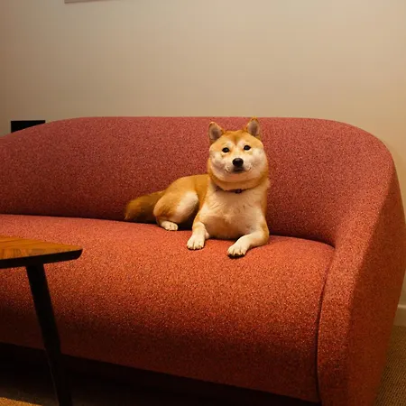 Boutique Opera 4*